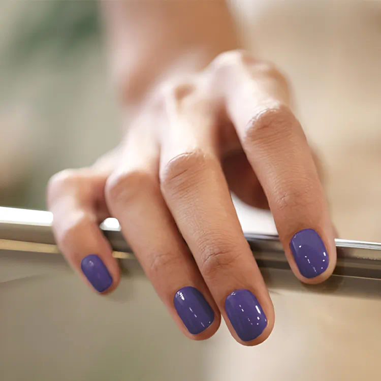 Farba „French Wine“