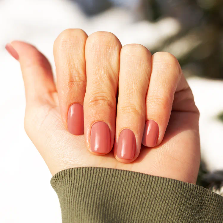 Farba „Pumpkin Spice“ 