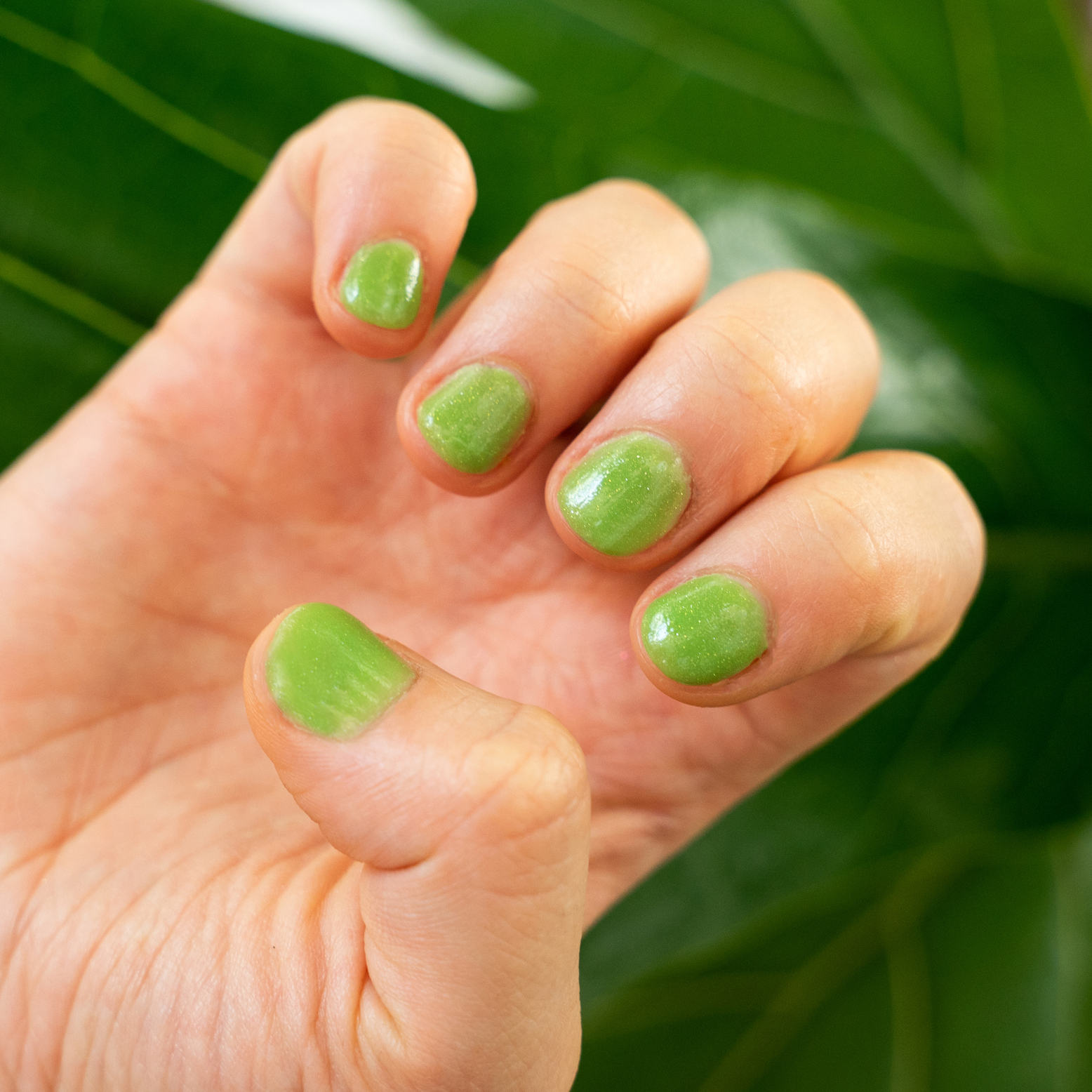 Color „Lime Mohito“