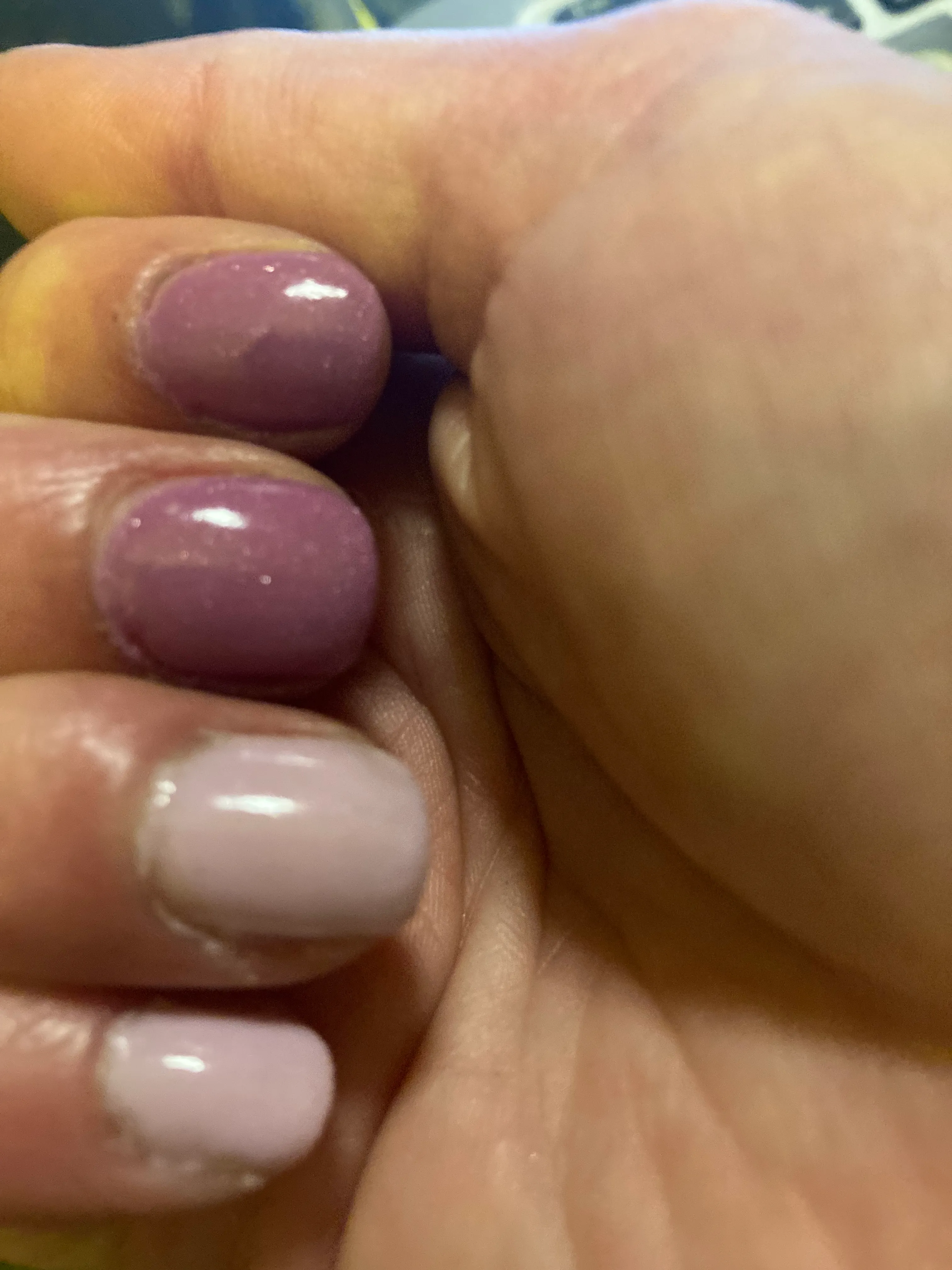 Теодора Тодорова